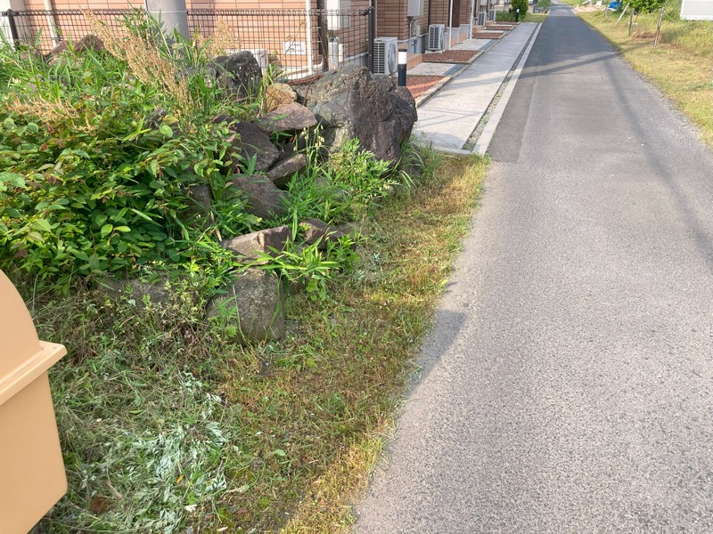 草刈り　道路側
